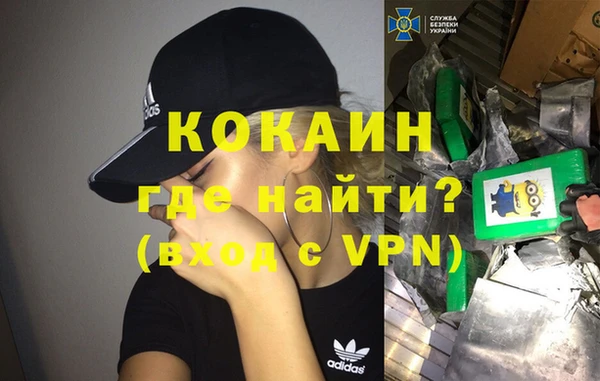 крисы Баксан
