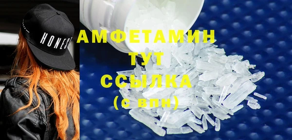 крисы Баксан