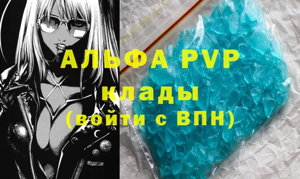 крисы Баксан