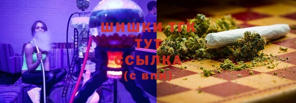 крисы Баксан