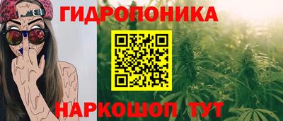 МДПВ Гусев