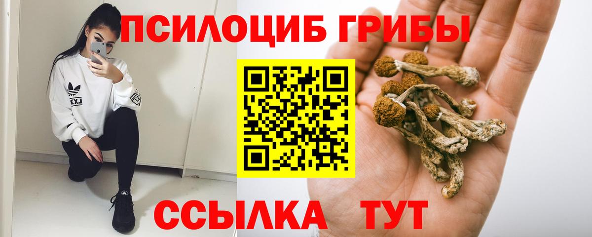 Белогорск  Галлюциногенные грибы Magic Shrooms  Вход с VPN 